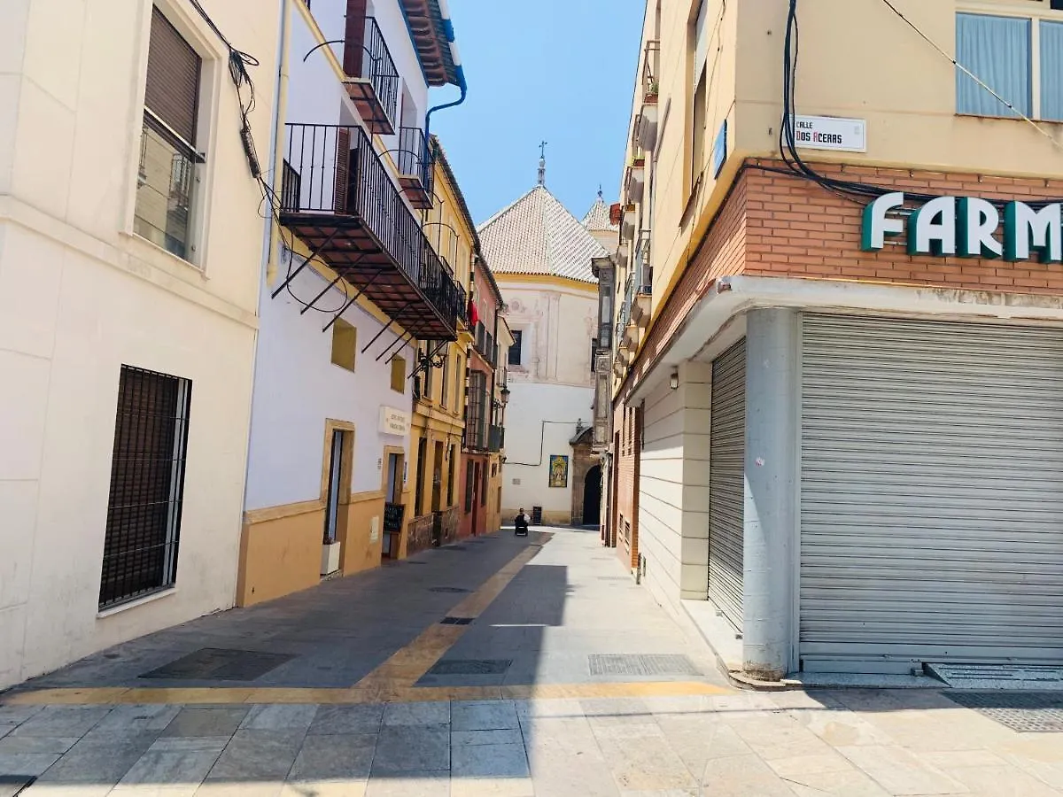 Homely Malaga Parras Con Terraza Interior Y Parking Privado Bajo Suplemento 0*,